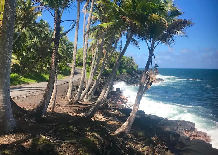 Tropical Zen Bungalow