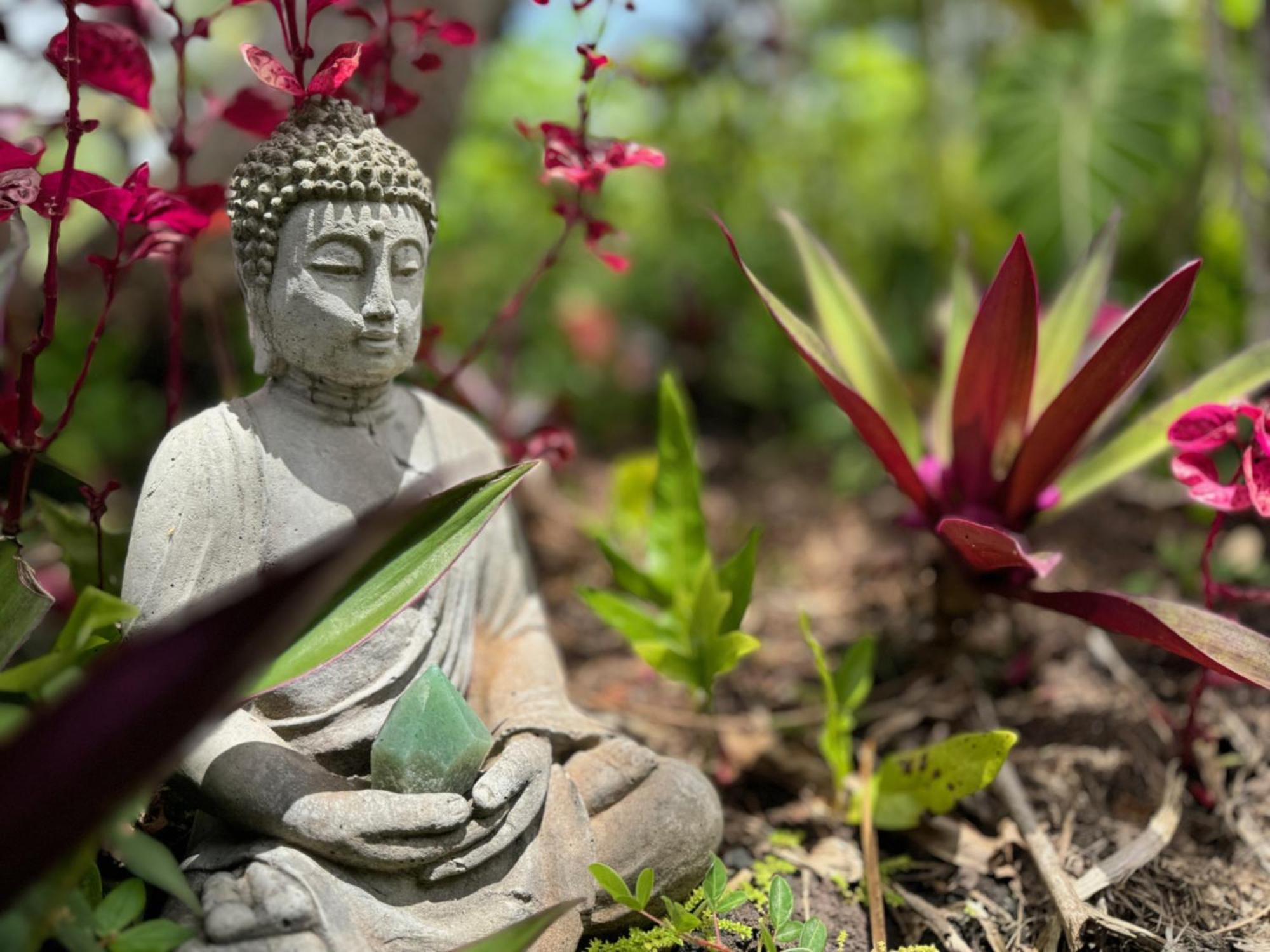 Tropical Zen Pahoa