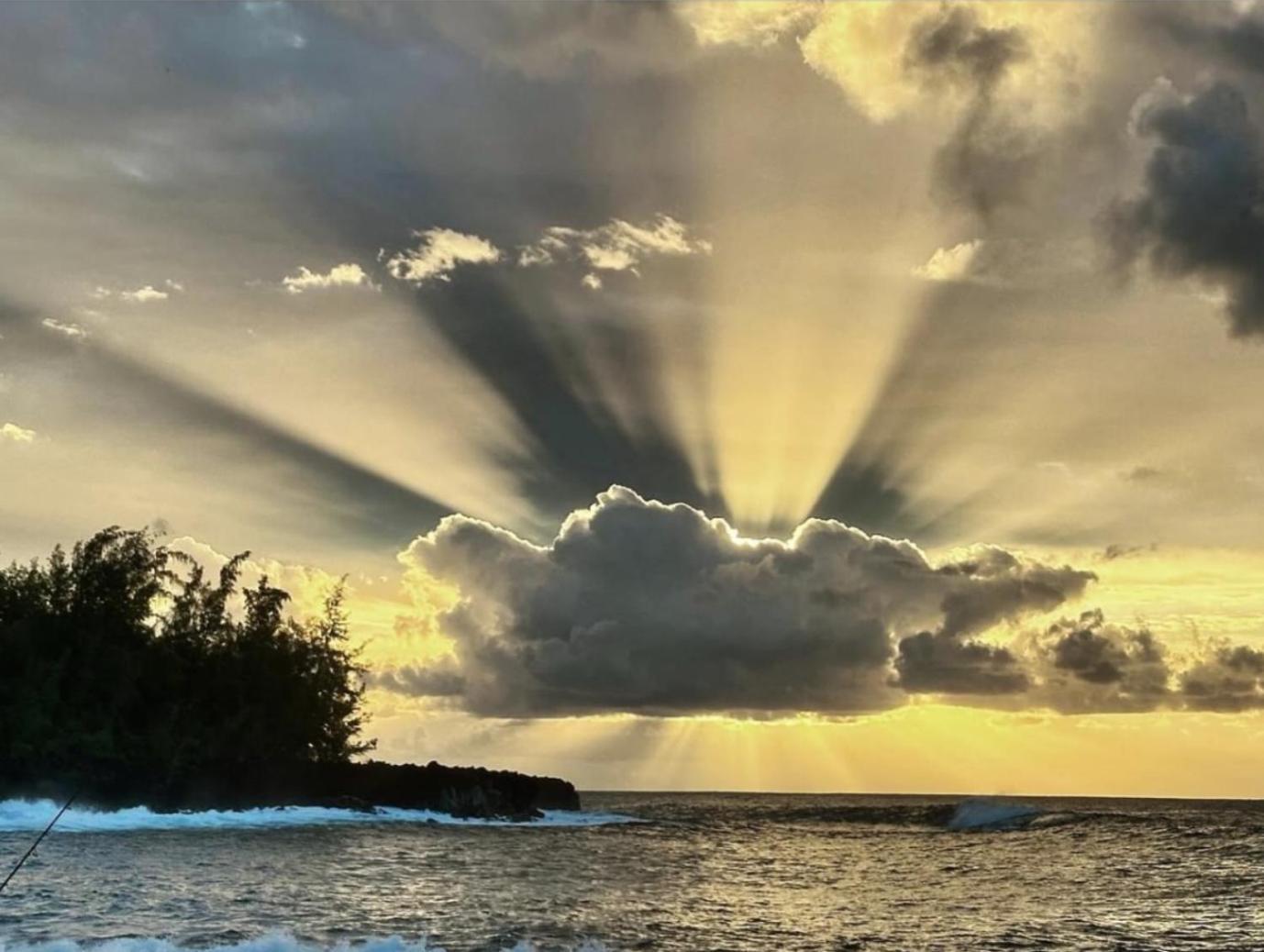 Tropical Zen Pahoa